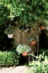 green basics hanging basket 28cm mild terra
